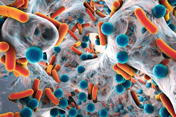 How Antibacterial Nanosilver is Becoming a Solution